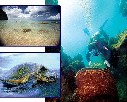 Montserrat Island DX News VP2MNK VP2MUM VP2MXO